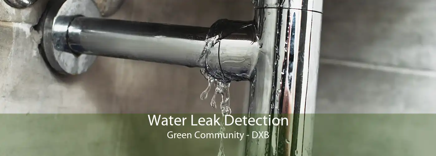 Water Leak Detection Green Community - DXB