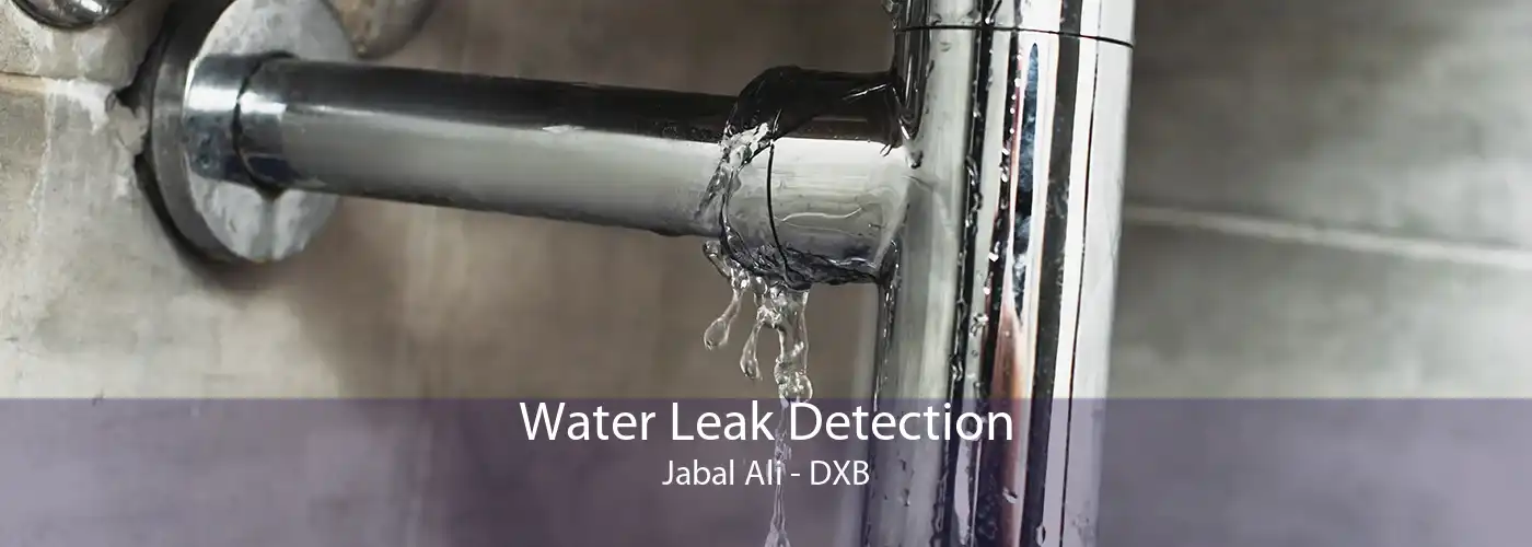 Water Leak Detection Jabal Ali - DXB