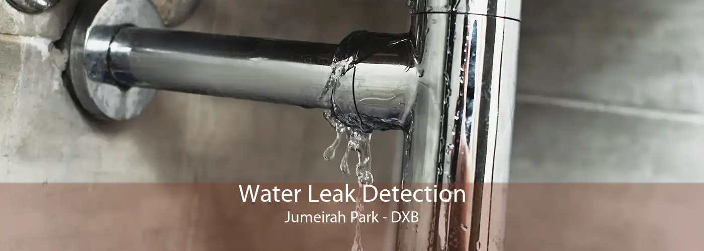 Water Leak Detection Jumeirah Park - DXB