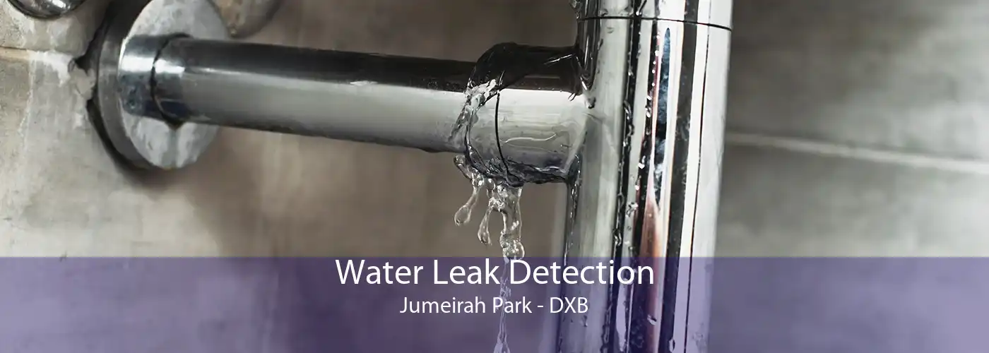 Water Leak Detection Jumeirah Park - DXB