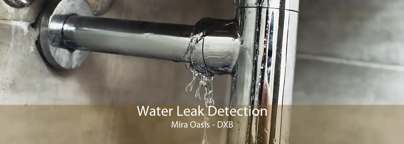 Water Leak Detection Mira Oasis - DXB