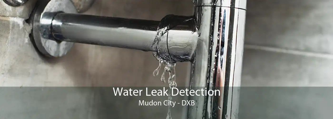 Water Leak Detection Mudon City - DXB