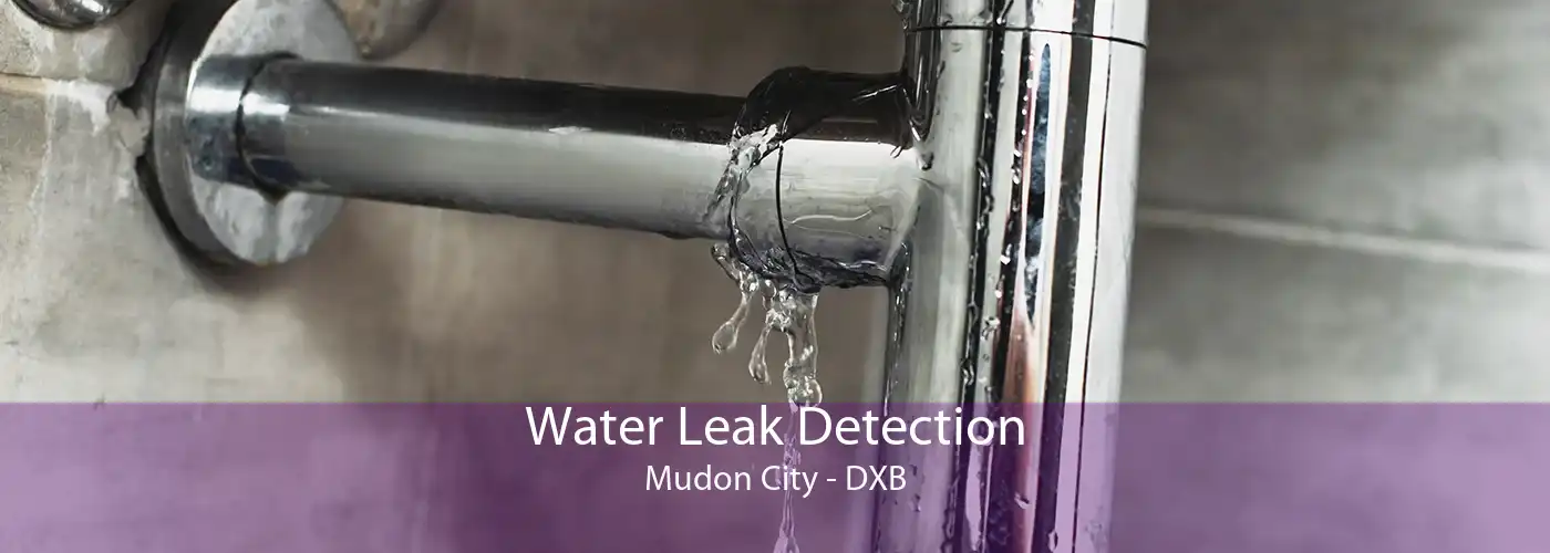 Water Leak Detection Mudon City - DXB