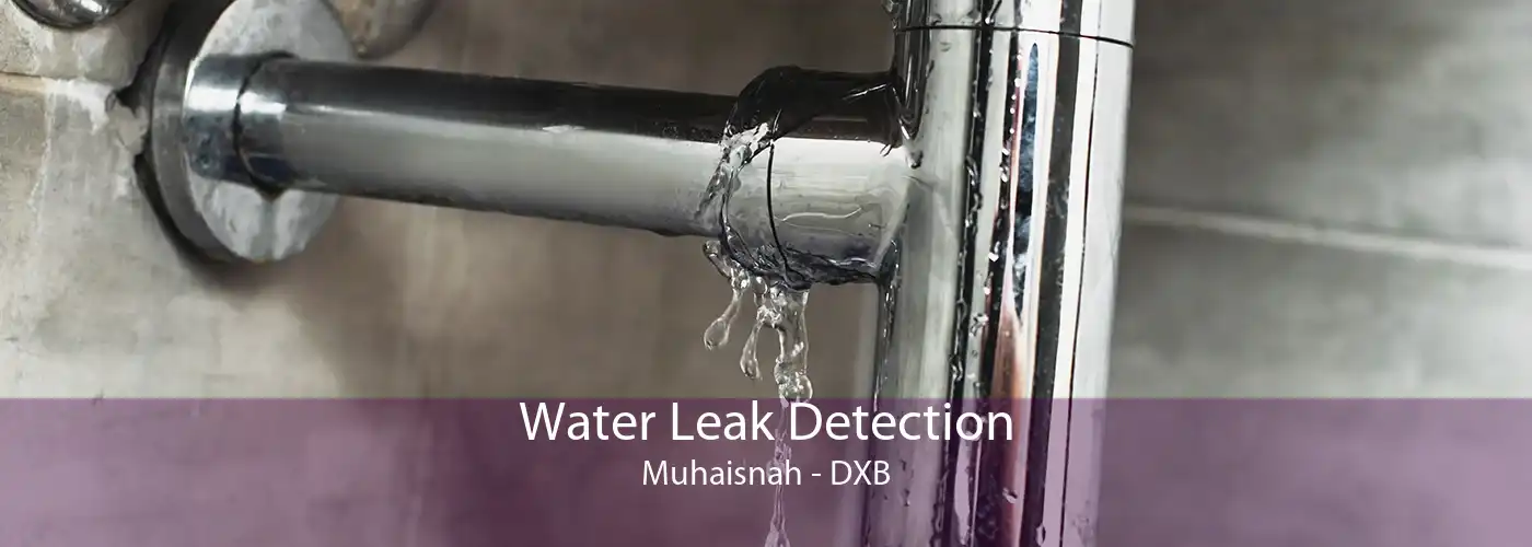 Water Leak Detection Muhaisnah - DXB