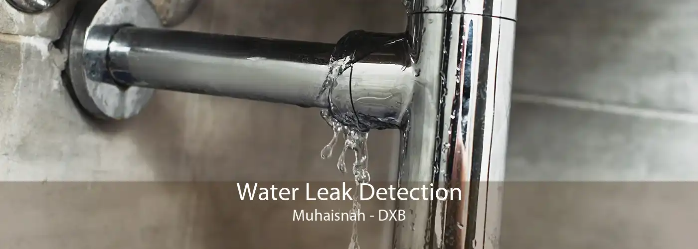 Water Leak Detection Muhaisnah - DXB