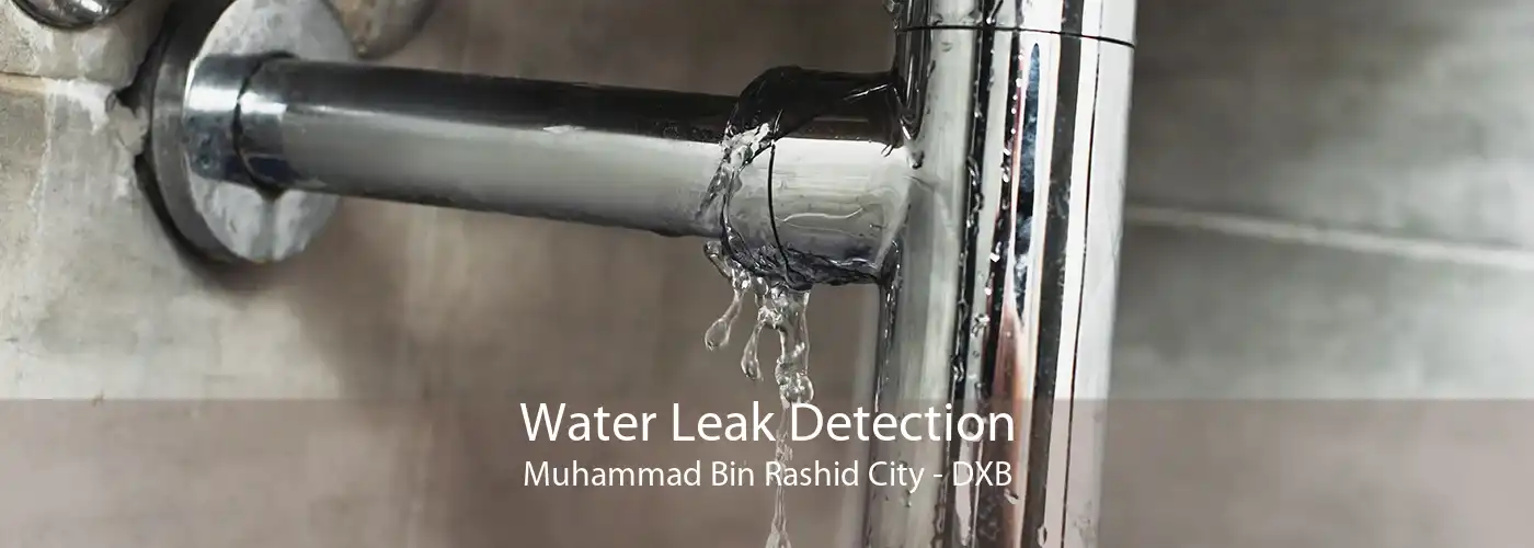 Water Leak Detection Muhammad Bin Rashid City - DXB