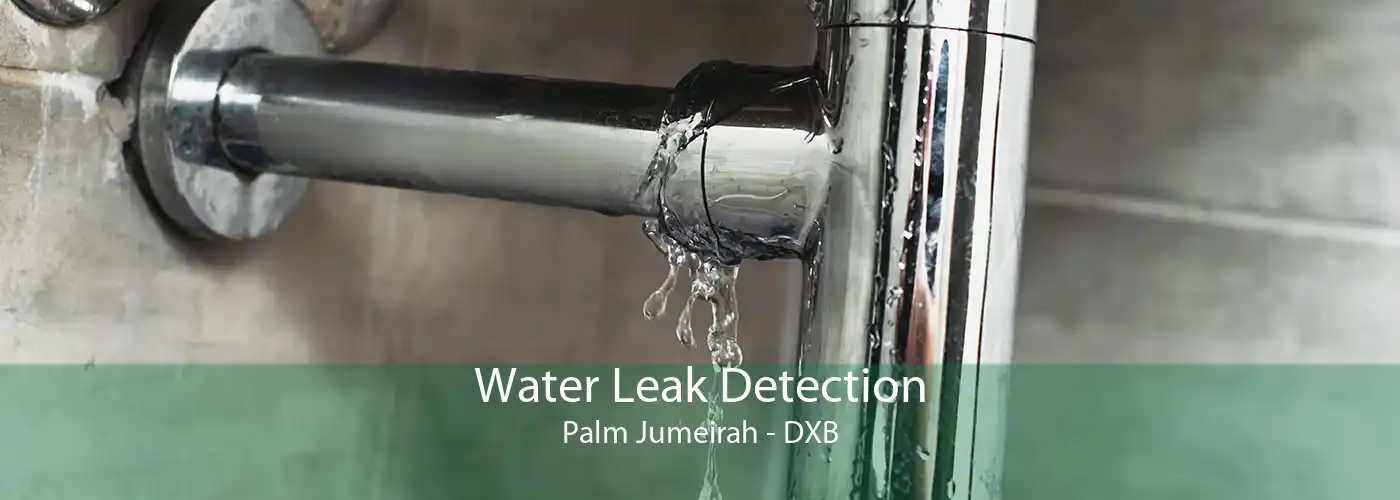 Water Leak Detection Palm Jumeirah - DXB