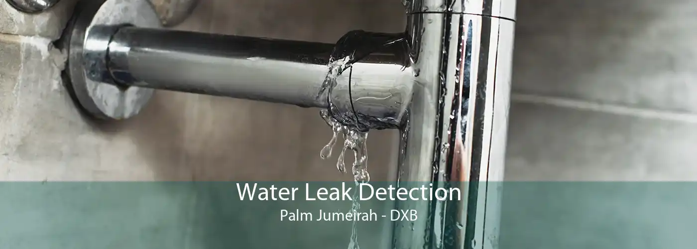 Water Leak Detection Palm Jumeirah - DXB