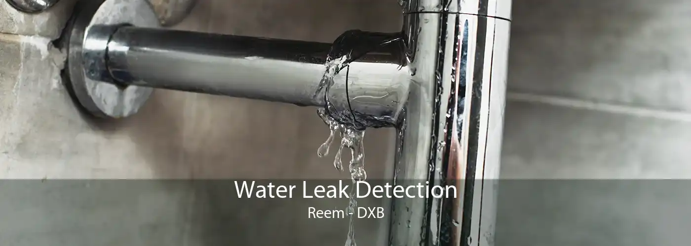 Water Leak Detection Reem - DXB