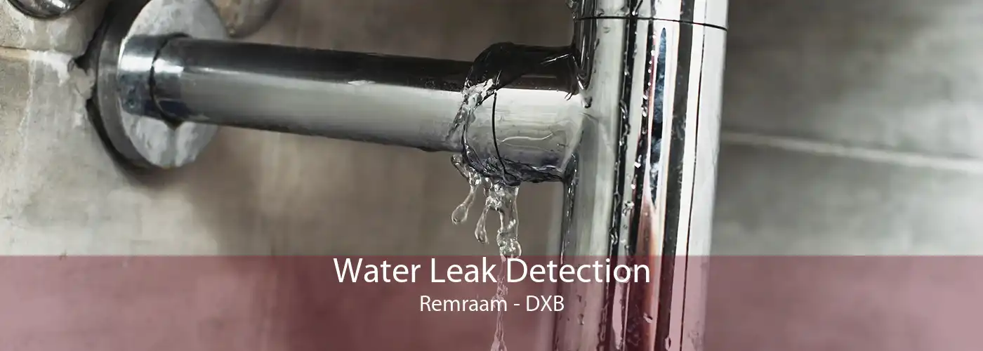 Water Leak Detection Remraam - DXB