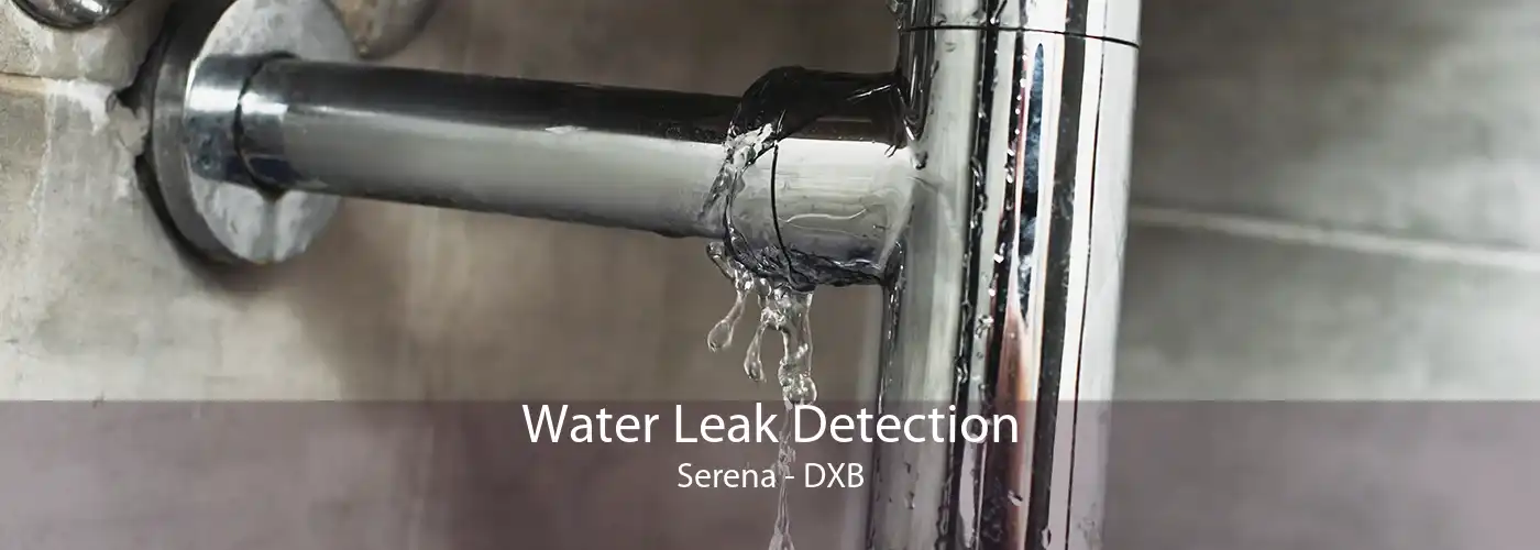 Water Leak Detection Serena - DXB