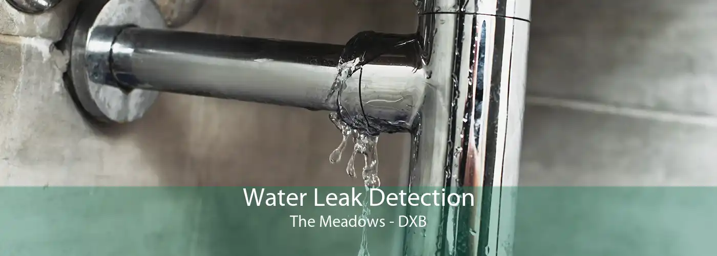 Water Leak Detection The Meadows - DXB