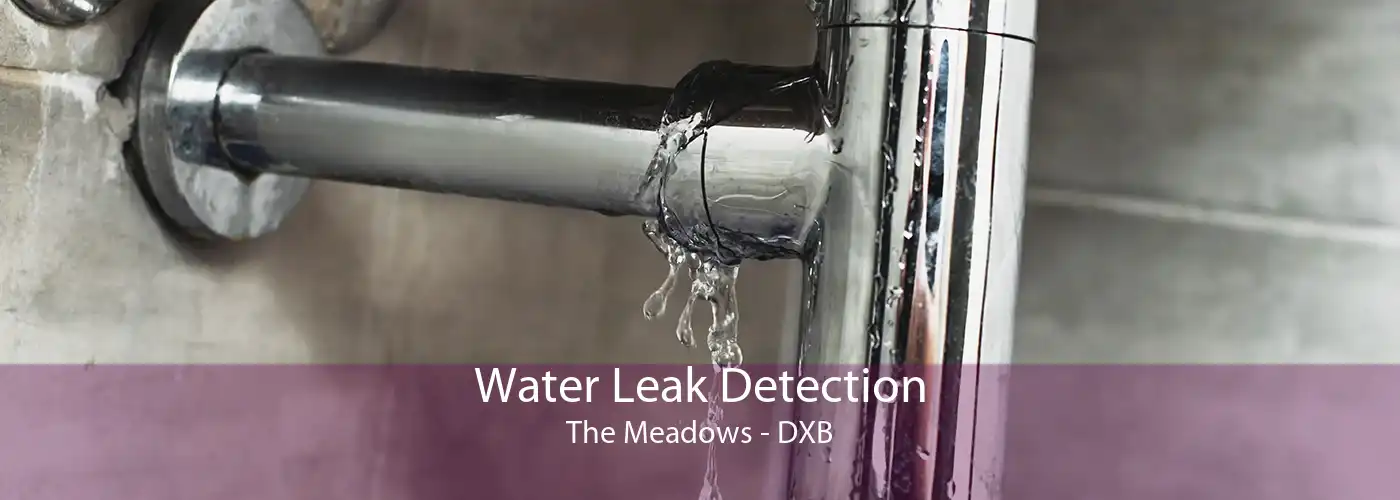 Water Leak Detection The Meadows - DXB