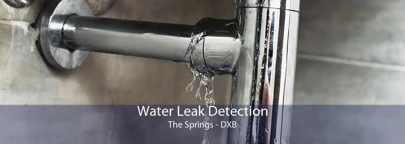 Water Leak Detection The Springs - DXB