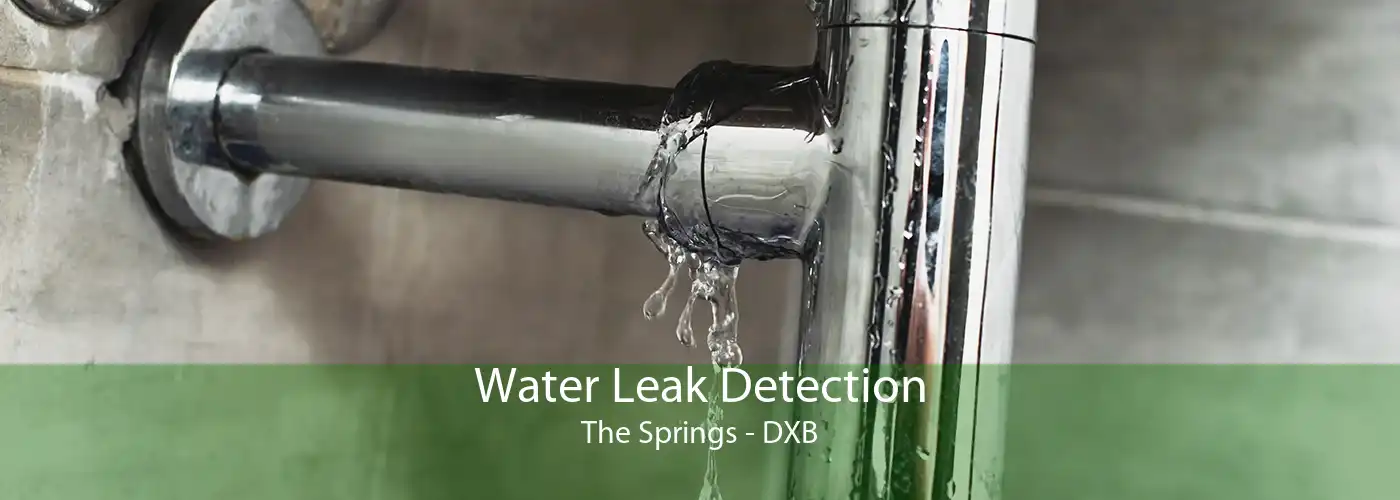 Water Leak Detection The Springs - DXB
