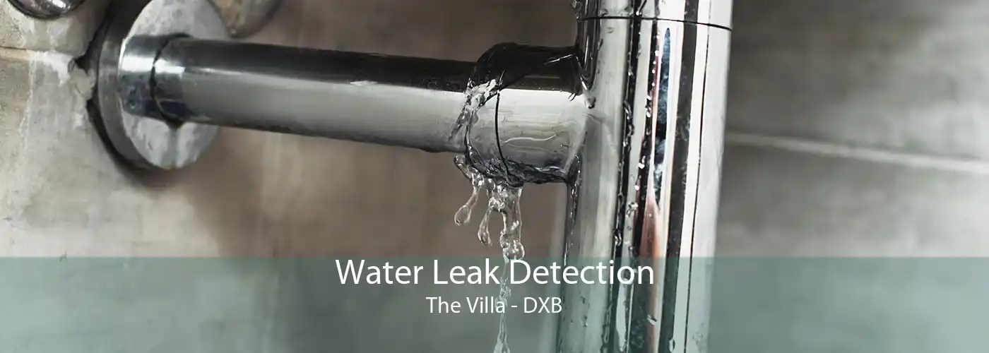 Water Leak Detection The Villa - DXB