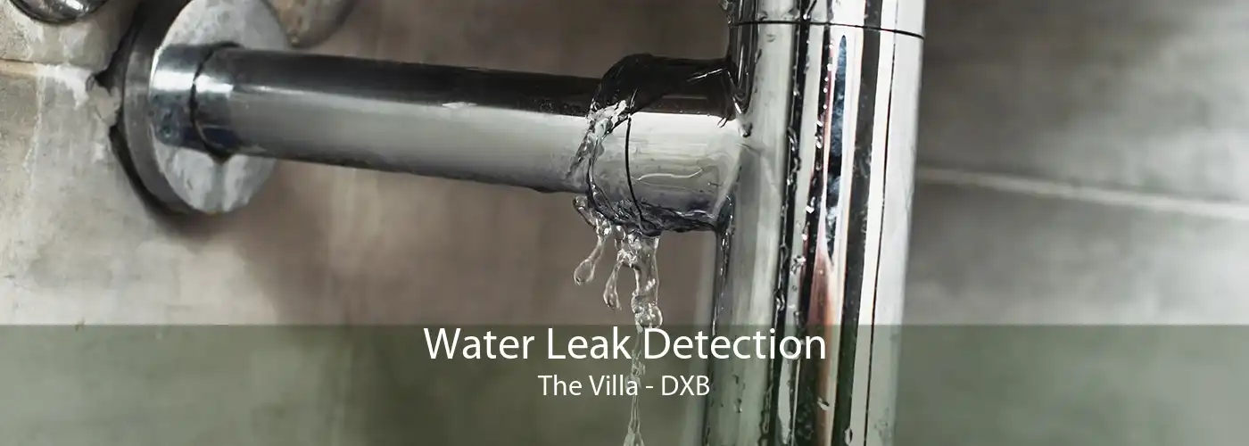 Water Leak Detection The Villa - DXB