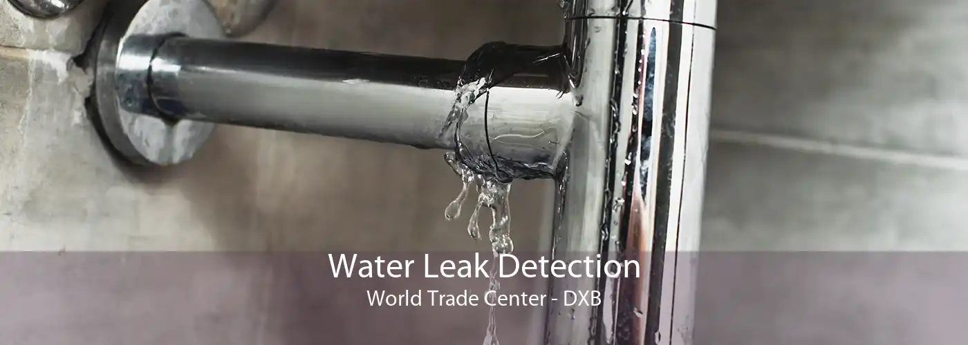Water Leak Detection World Trade Center - DXB