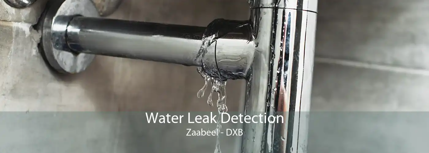 Water Leak Detection Zaabeel - DXB