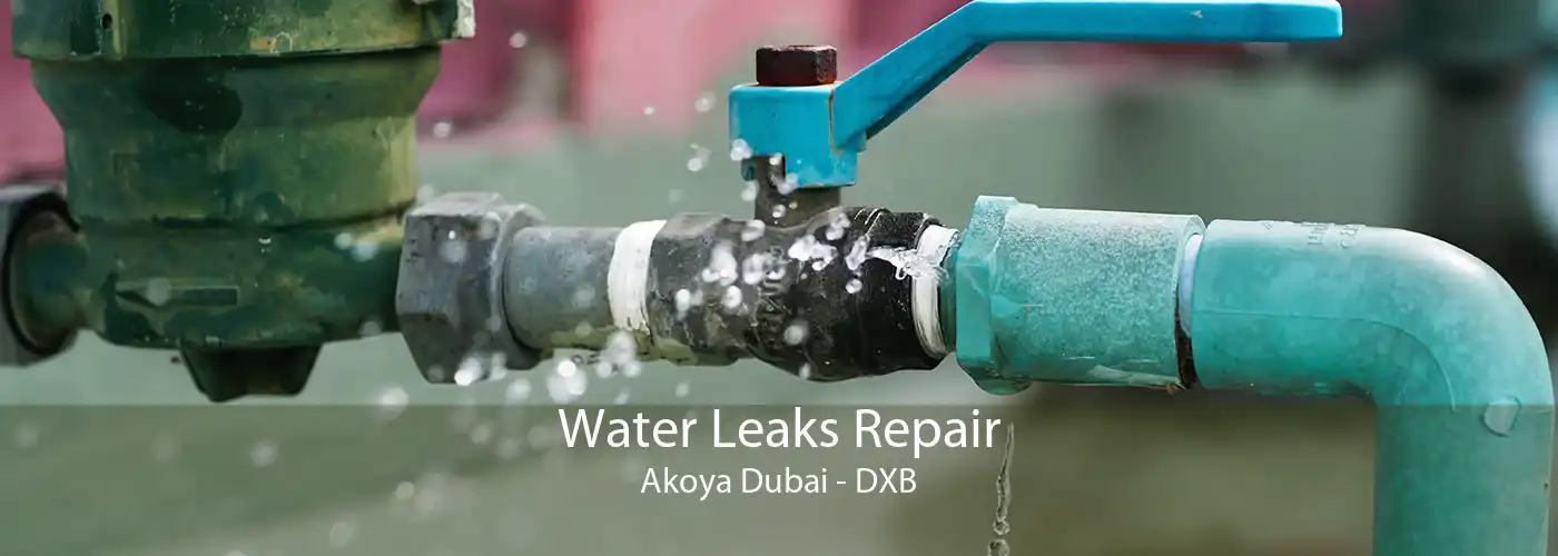Water Leaks Repair Akoya Dubai - DXB