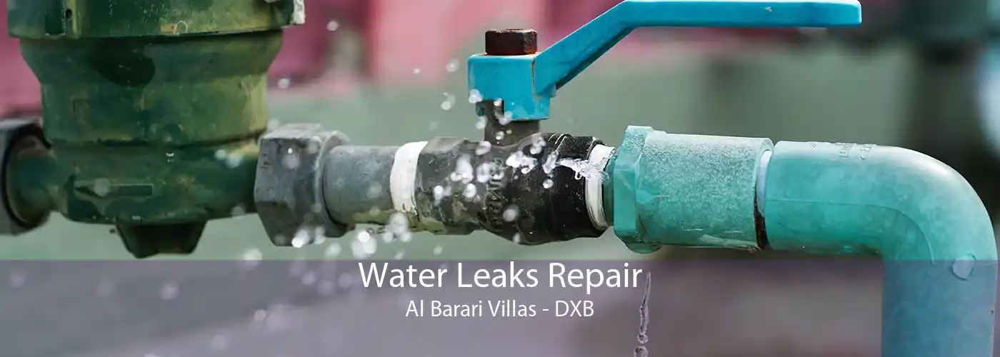 Water Leaks Repair Al Barari Villas - DXB