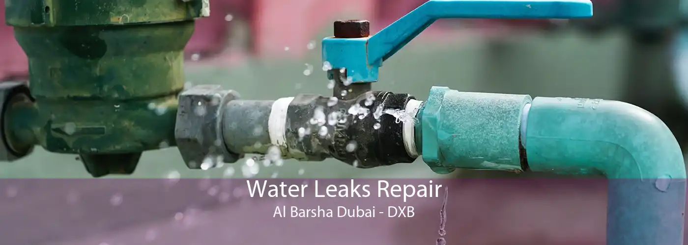 Water Leaks Repair Al Barsha Dubai - DXB