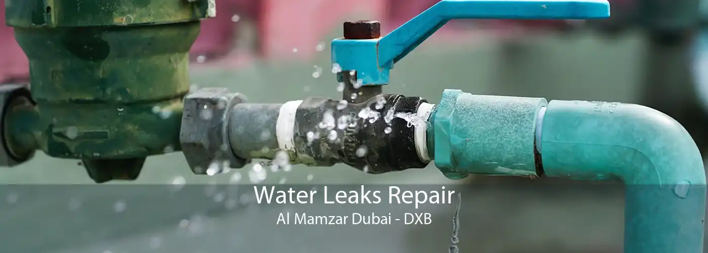 Water Leaks Repair Al Mamzar Dubai - DXB