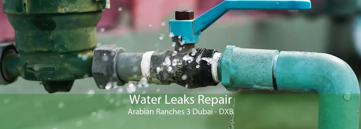 Water Leaks Repair Arabian Ranches 3 Dubai - DXB