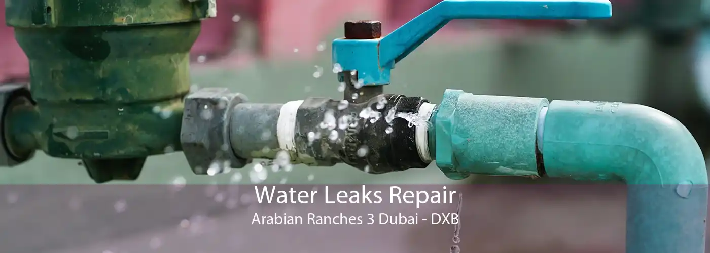 Water Leaks Repair Arabian Ranches 3 Dubai - DXB