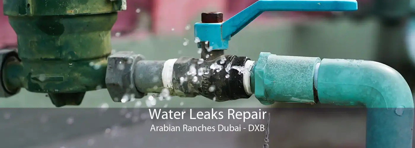 Water Leaks Repair Arabian Ranches Dubai - DXB