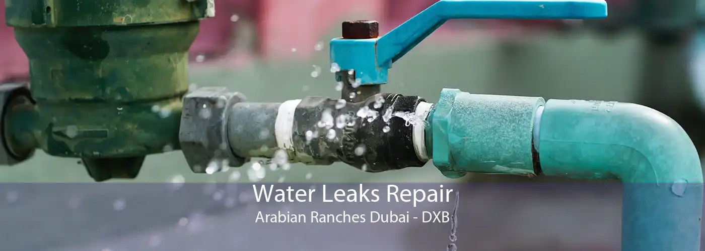 Water Leaks Repair Arabian Ranches Dubai - DXB