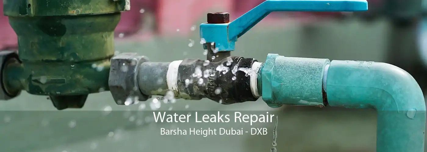 Water Leaks Repair Barsha Height Dubai - DXB