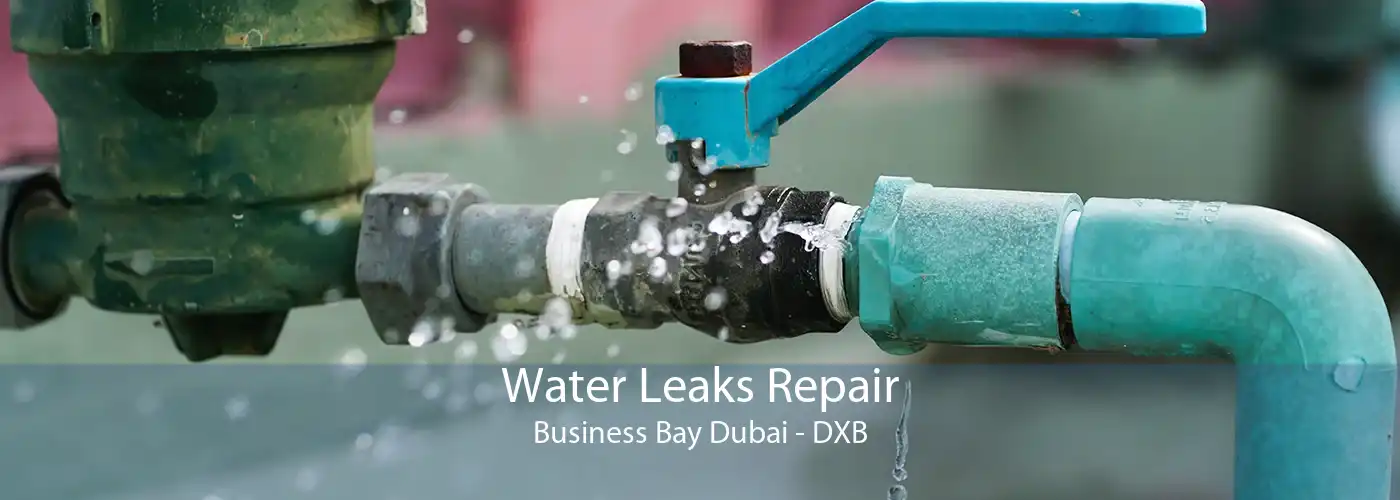 Water Leaks Repair Business Bay Dubai - DXB