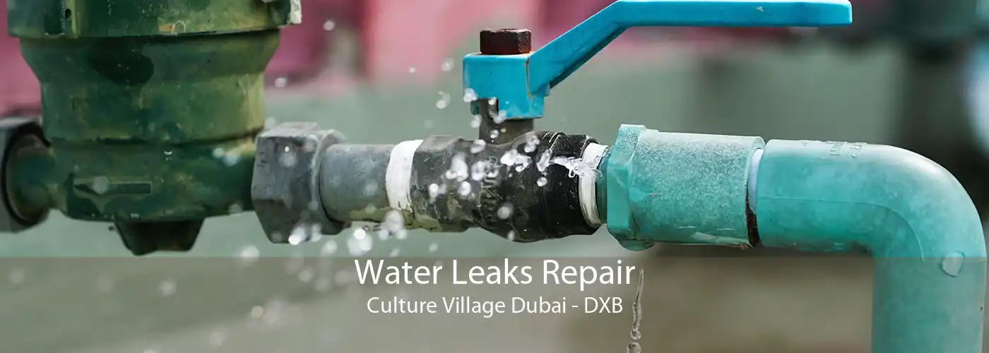 Water Leaks Repair Culture Village Dubai - DXB