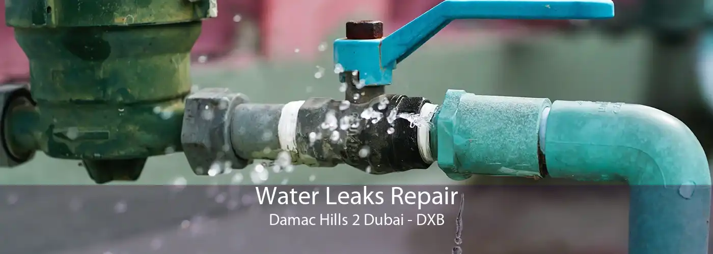 Water Leaks Repair Damac Hills 2 Dubai - DXB