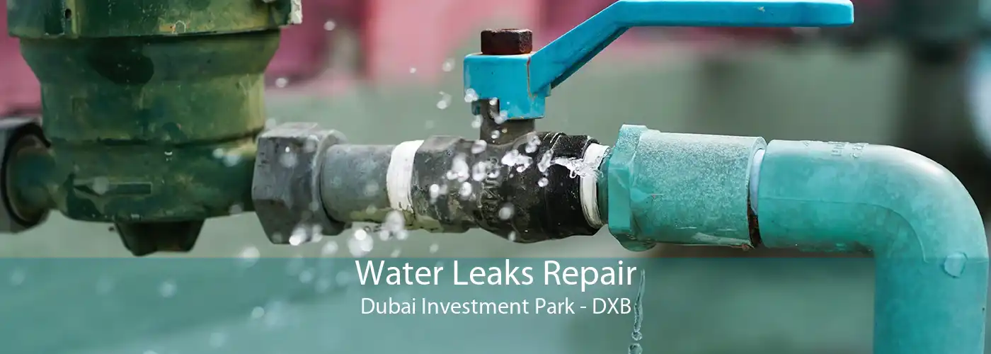 Water Leaks Repair Dubai Investment Park - DXB
