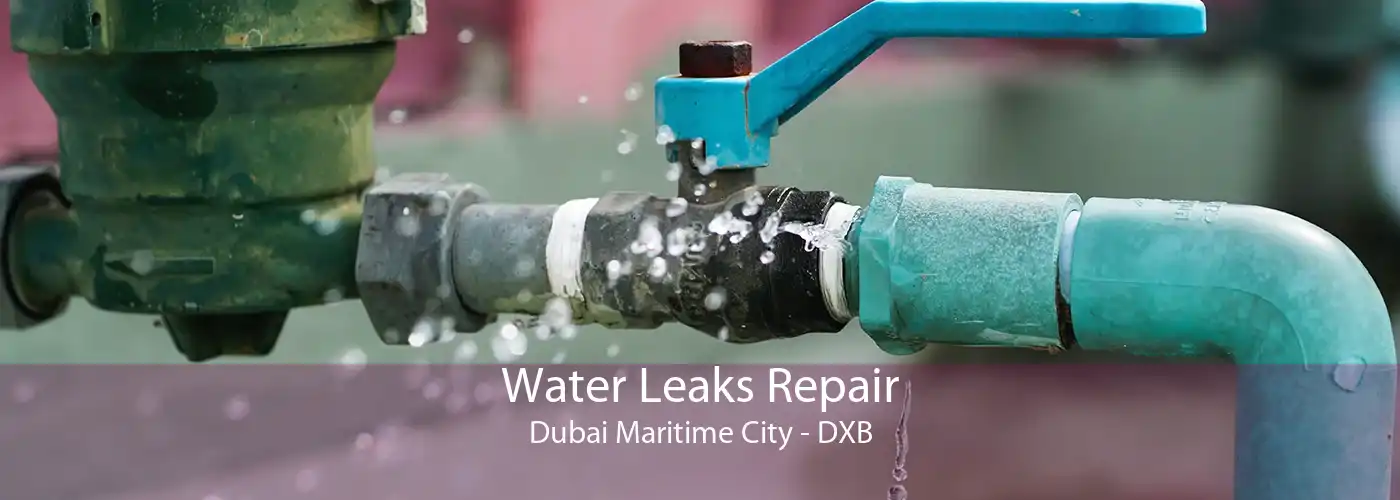Water Leaks Repair Dubai Maritime City - DXB