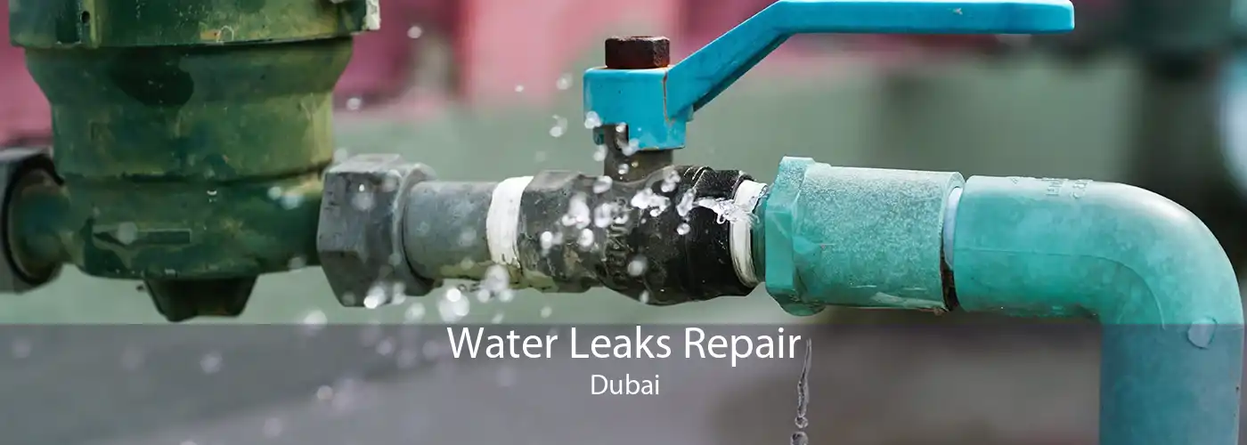 Water Leaks Repair Dubai