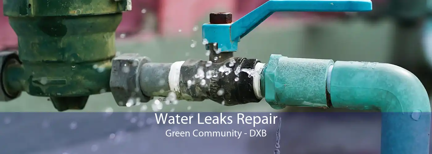 Water Leaks Repair Green Community - DXB