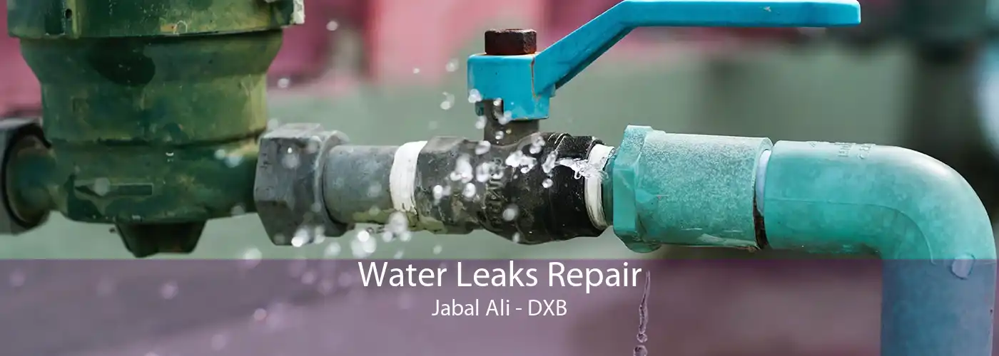 Water Leaks Repair Jabal Ali - DXB