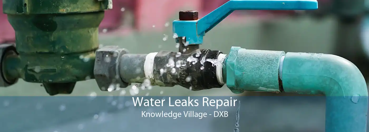 Water Leaks Repair Knowledge Village - DXB