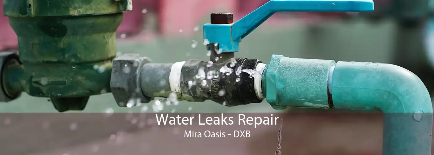 Water Leaks Repair Mira Oasis - DXB
