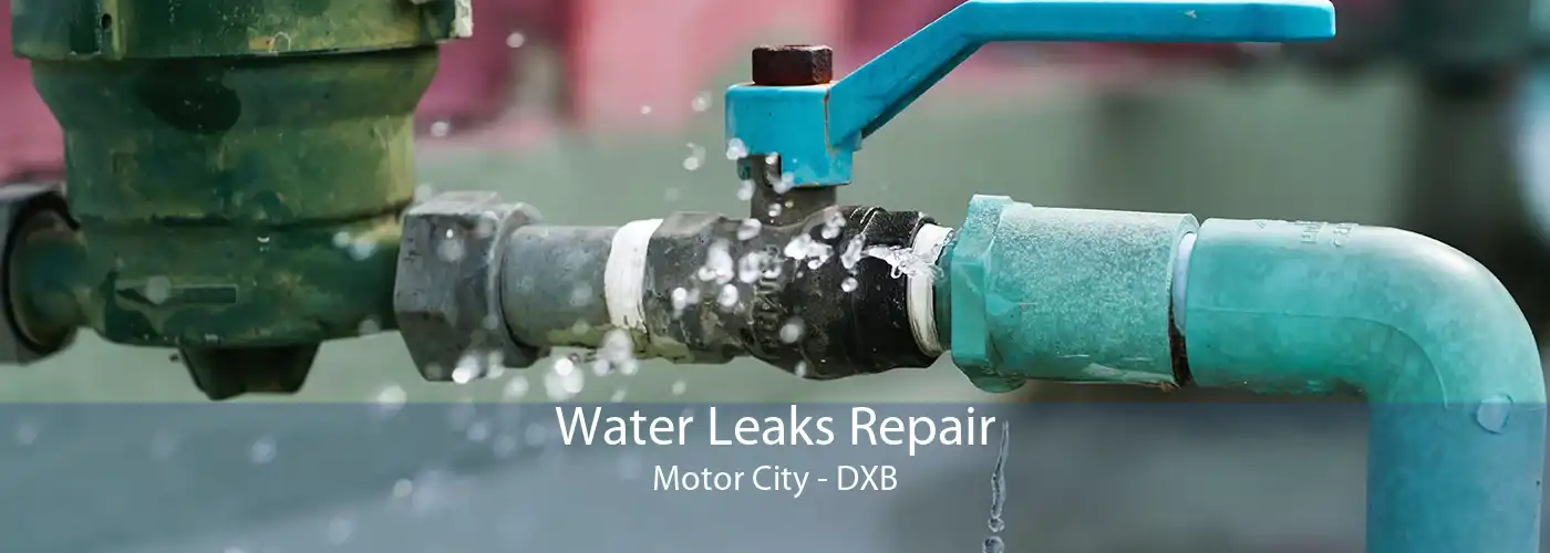 Water Leaks Repair Motor City - DXB