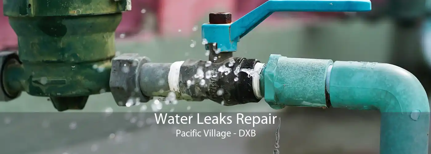 Water Leaks Repair Pacific Village - DXB