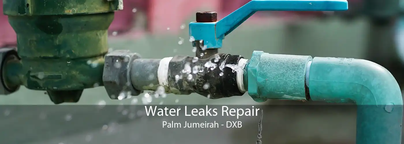 Water Leaks Repair Palm Jumeirah - DXB