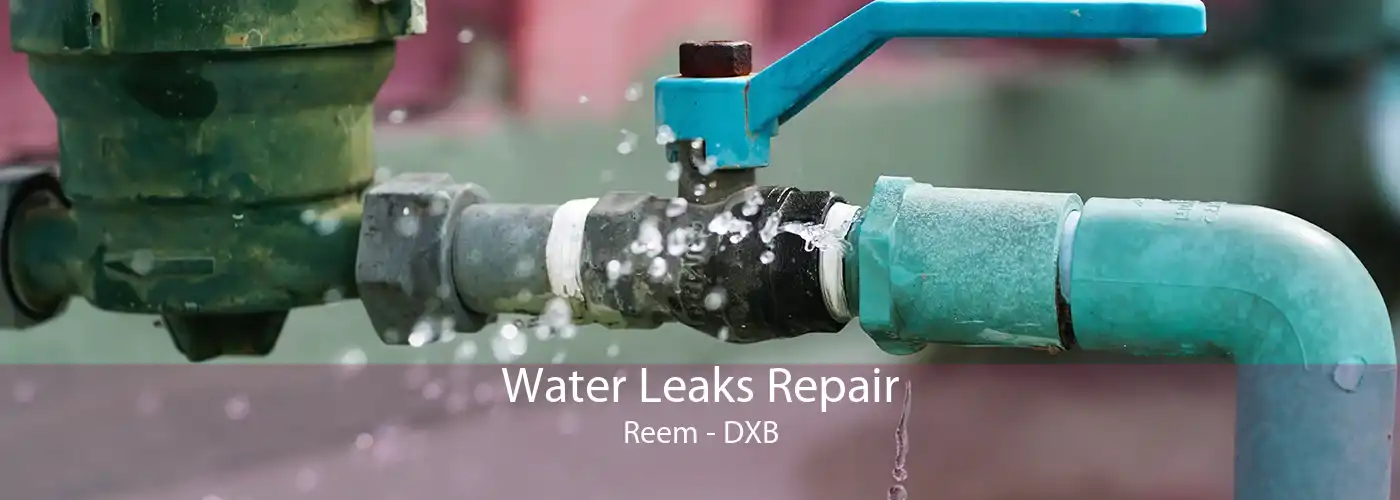 Water Leaks Repair Reem - DXB