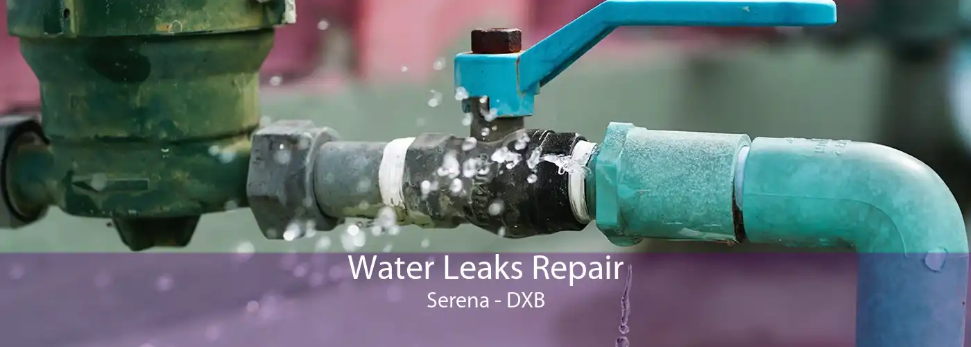 Water Leaks Repair Serena - DXB