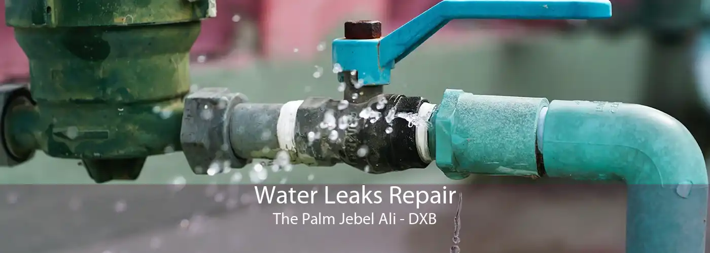 Water Leaks Repair The Palm Jebel Ali - DXB