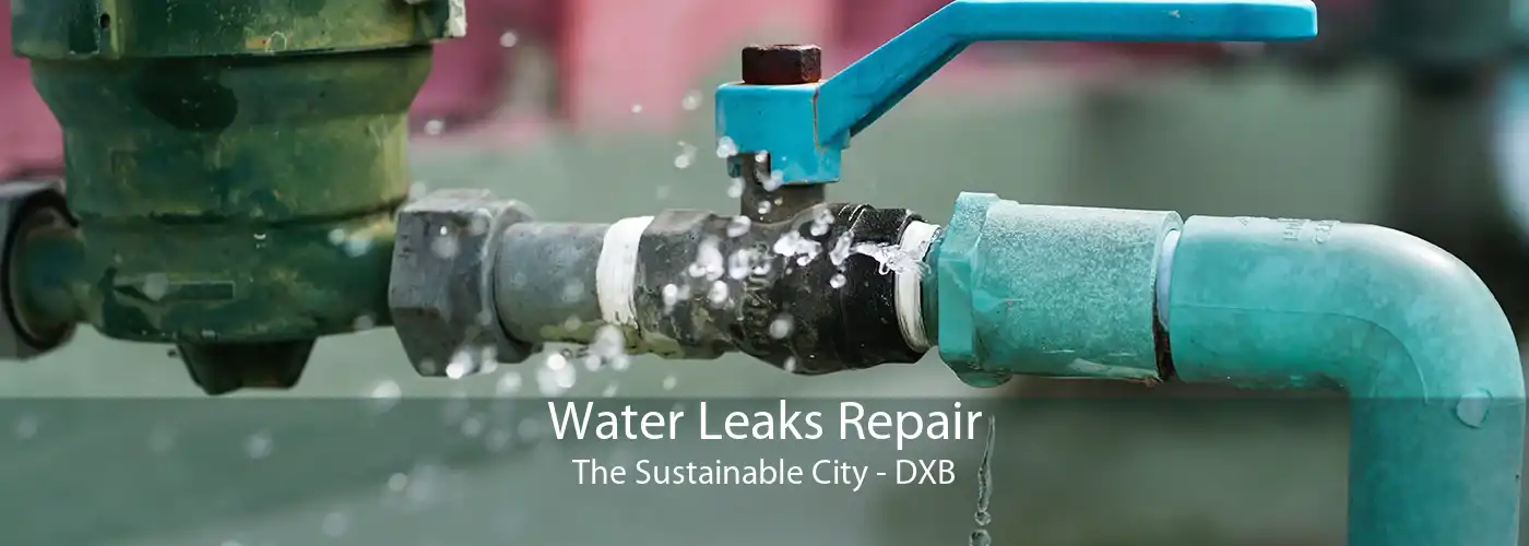 Water Leaks Repair The Sustainable City - DXB