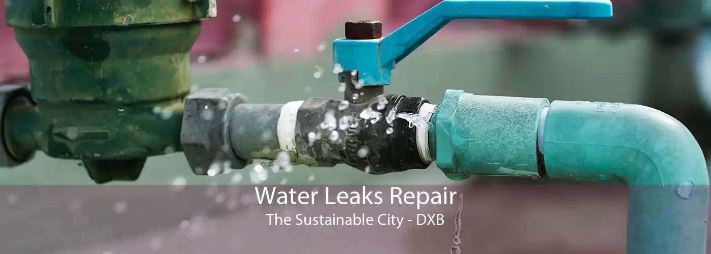 Water Leaks Repair The Sustainable City - DXB